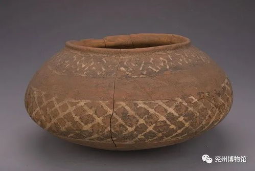 足不出户观展览 文明曙光 兖州史前文化展 三