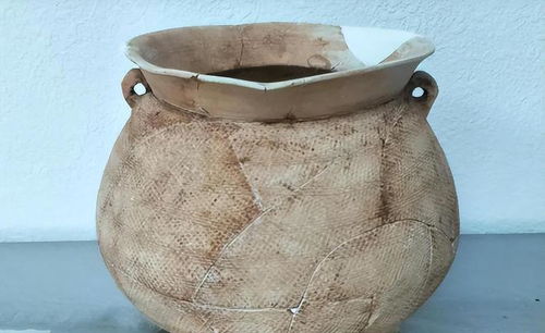 守之世而谓之工 从西周丰镐陶窑产品之丰富,一睹古代制陶业风采