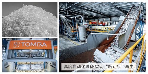 专访 陶朗扎根中国十余载,用智能分选技术推动资源变革