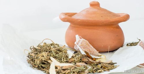 肾虚人就废一半,脱发早衰,才不过中年能力差劲,五味药帮助改善